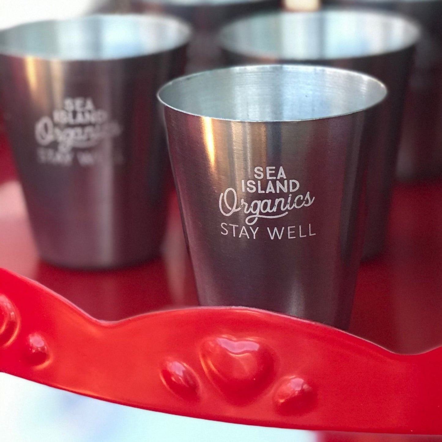 "Stay Well" Stainless Steel Shot Glass