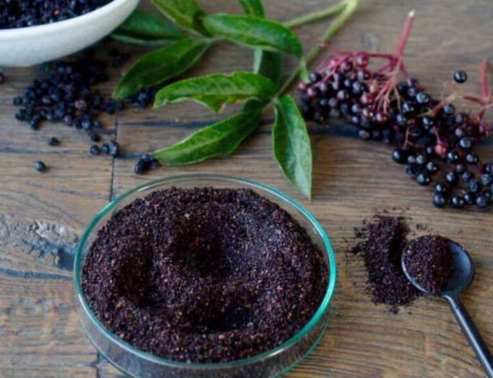 Elderberry Powder