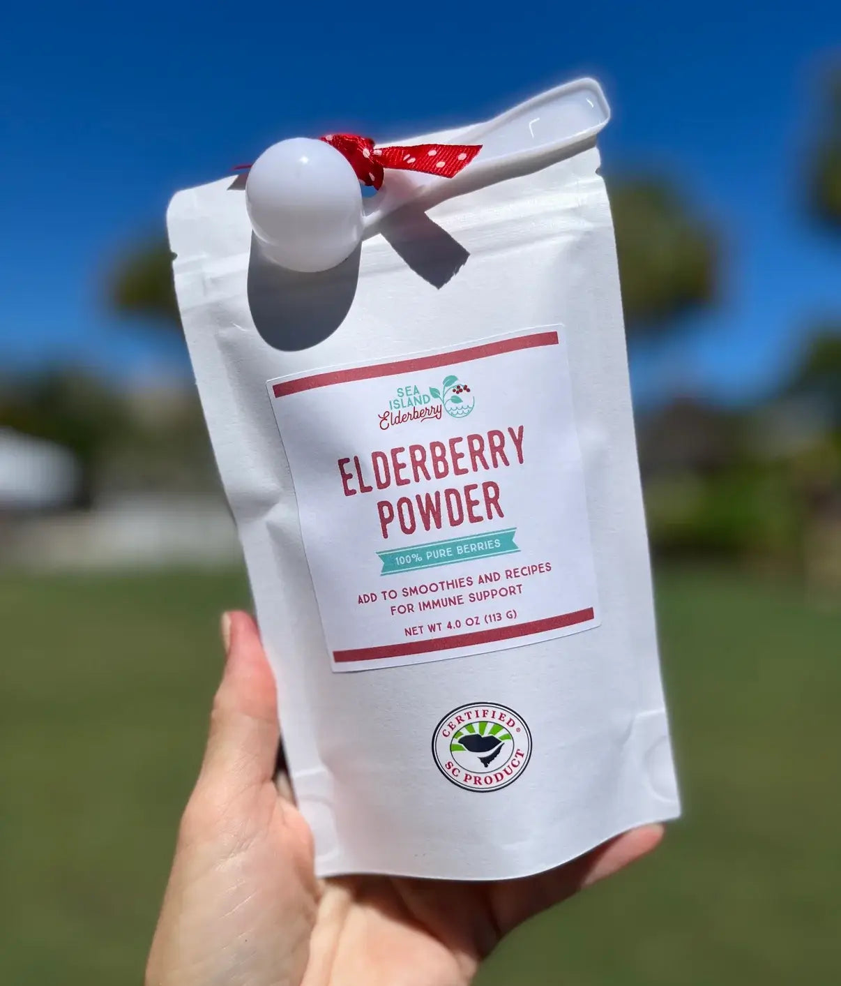 Elderberry Powder to add to smoothies and recipes for immune support